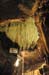 2006-04-12_14-09-18D70