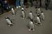 2006-05-27_14-20-49D70