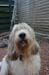 2006-06-10_17-01-01D70