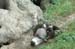 2006-07-26_14-17-15D70