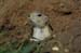 2006-07-26_14-59-09D70