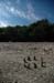 2006-07-27_16-23-19D70