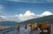 2006-07-27_17-17-03D70